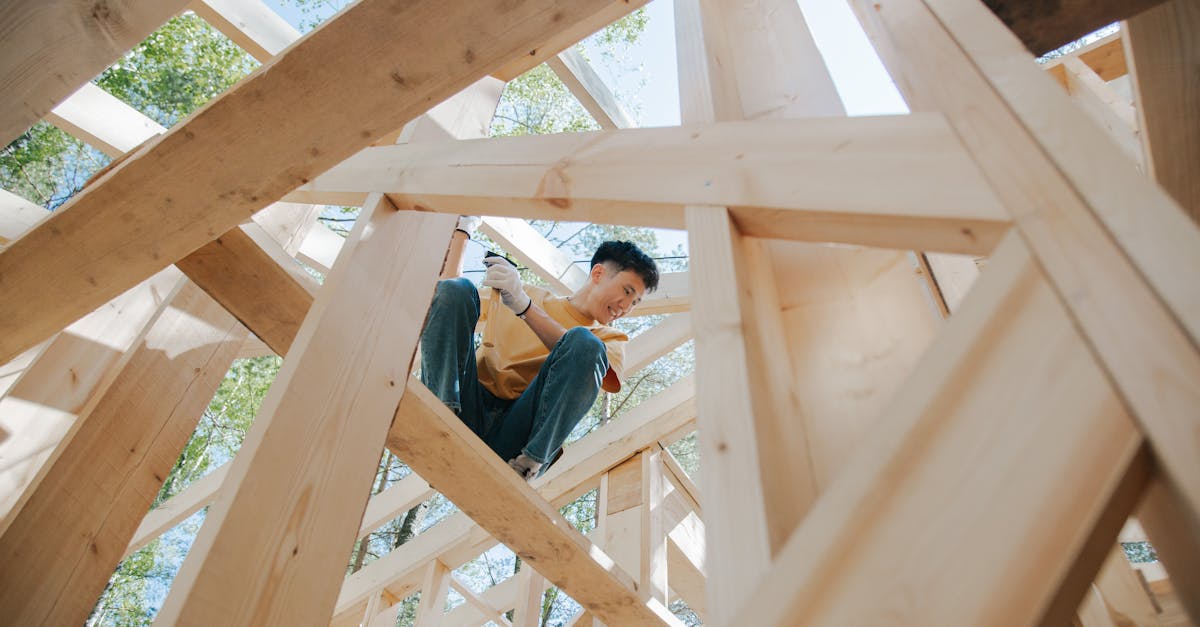 Navigating Local Council Regulations for Eco-Friendly Housing
