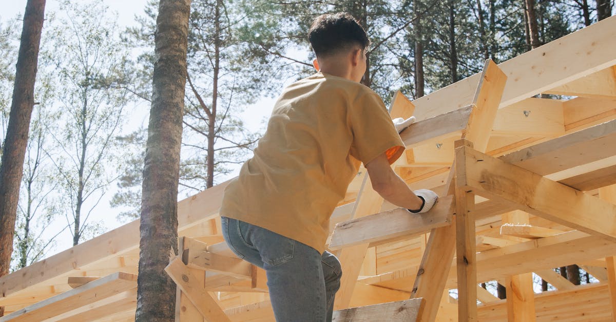 The Impact of Building Codes on Sustainable Housing Development